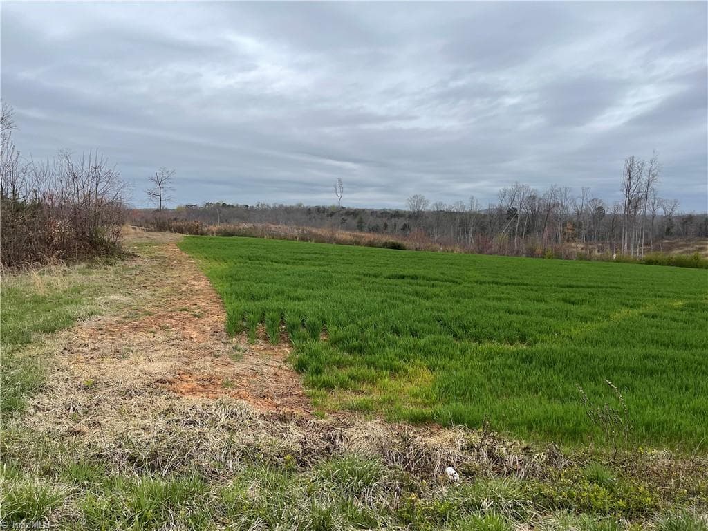 Single Family Residence at Lot 3 Eldora Road, Ararat NC 27007, Ararat, photo 3 of 11