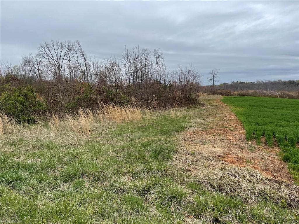 Single Family Residence at Lot 3 Eldora Road, Ararat NC 27007, Ararat, photo 5 of 11