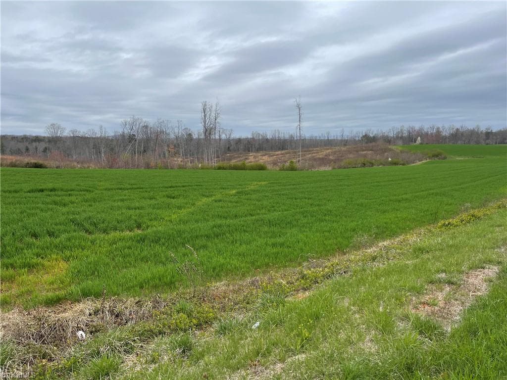 Single Family Residence at Lot 3 Eldora Road, Ararat NC 27007, Ararat, photo 4 of 11