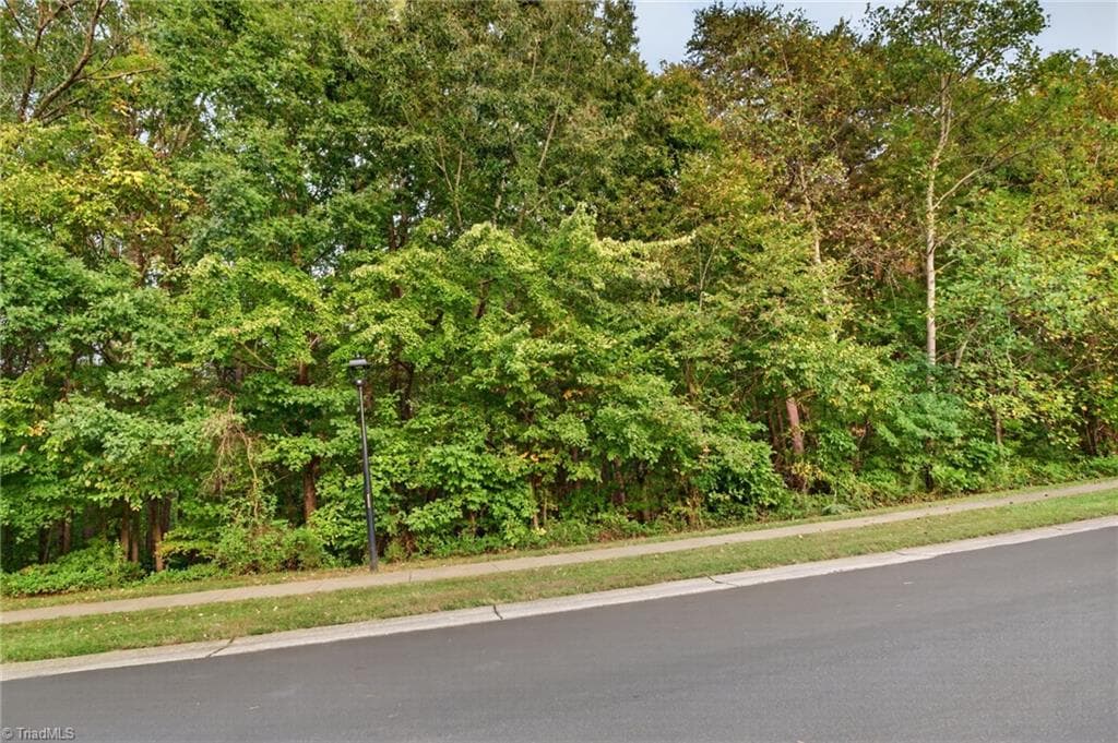 Single Family Residence at 0 Seay Drive, Advance NC 27006, photo 6 of 26