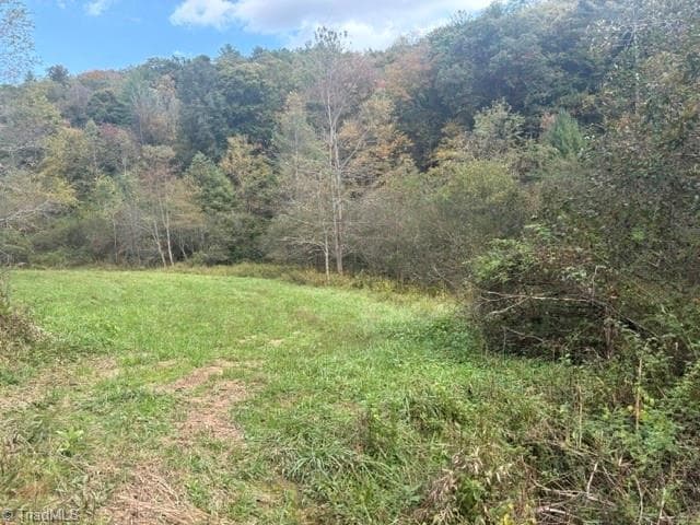 Single Family Residence at TBD Caseys Branch Road, Purlear NC 28665, Purlear, photo 6 of 16