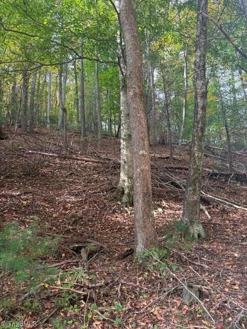 Single Family Residence at TBD Caseys Branch Road, Purlear NC 28665, Purlear, photo 12 of 16