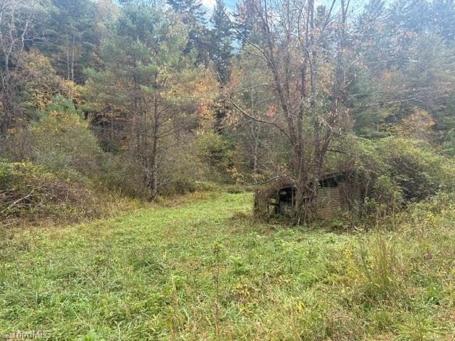 Single Family Residence at TBD Caseys Branch Road, Purlear NC 28665, Purlear, photo 5 of 16
