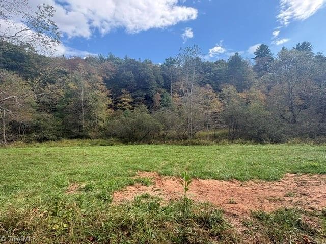 Single Family Residence at TBD Caseys Branch Road, Purlear NC 28665, Purlear, photo 8 of 16