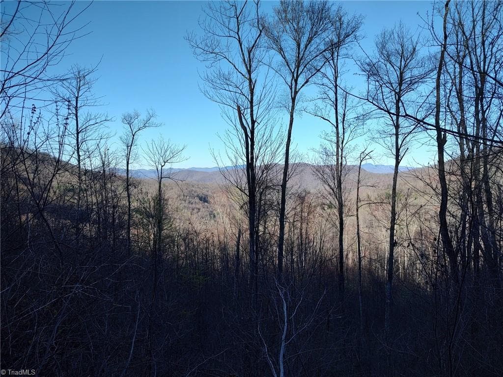 Unimproved Land at 1629 White Rock Road, Cullowhee NC 28723, Cullowhee, photo 2 of 27