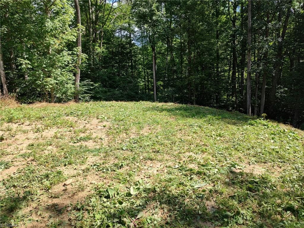 Unimproved Land at 1629 White Rock Road, Cullowhee NC 28723, Cullowhee, photo 6 of 27