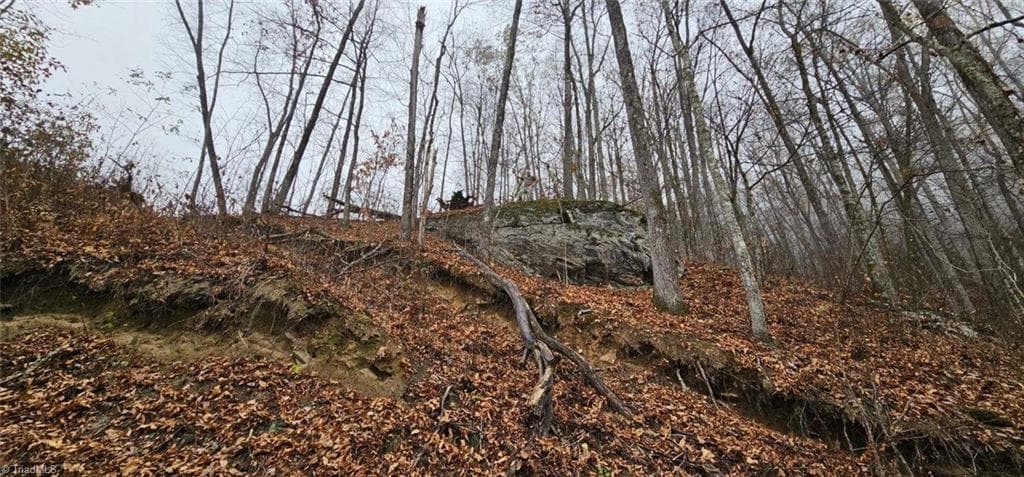 Unimproved Land at 1629 White Rock Road, Cullowhee NC 28723, Cullowhee, photo 13 of 27