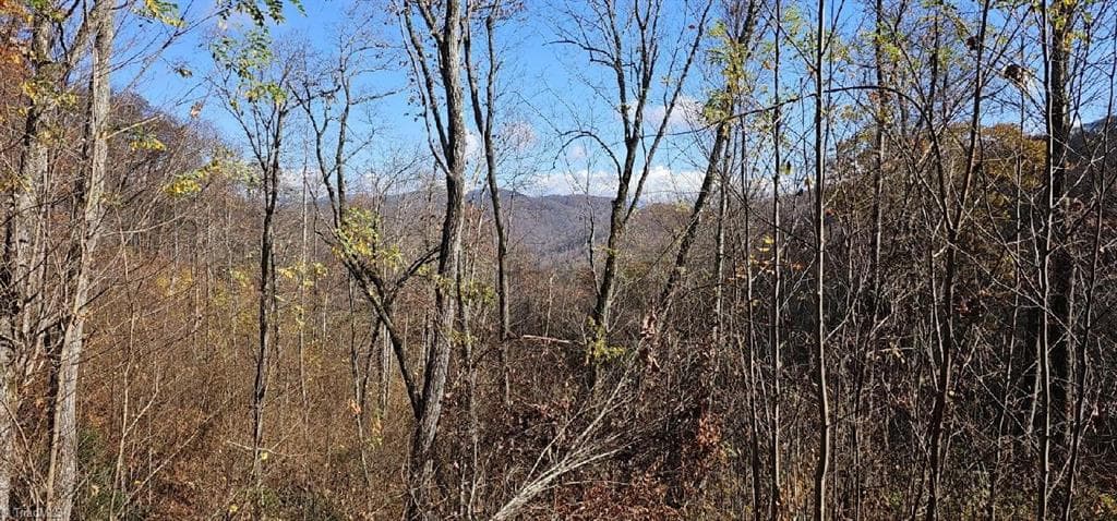 Unimproved Land at 1629 White Rock Road, Cullowhee NC 28723, Cullowhee, photo 12 of 27