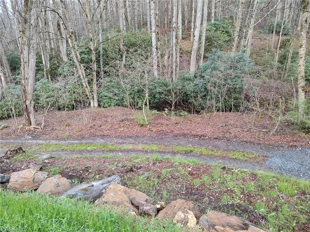 Unimproved Land at 1629 White Rock Road, Cullowhee NC 28723, Cullowhee, photo 5 of 27