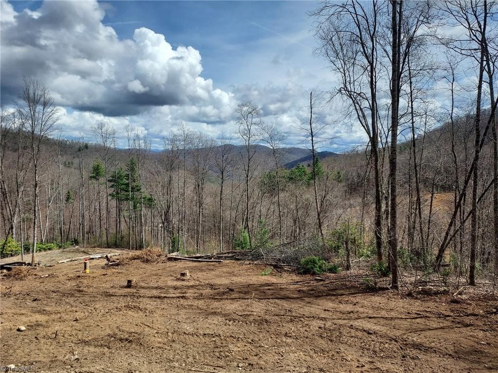 Unimproved Land at 1629 White Rock Road, Cullowhee NC 28723, Cullowhee, photo 20 of 27