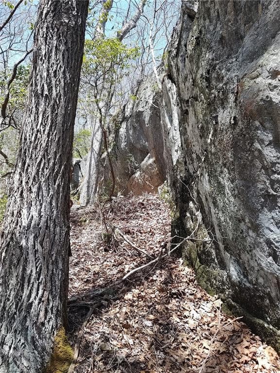 Unimproved Land at 1629 White Rock Road, Cullowhee NC 28723, Cullowhee, photo 14 of 27