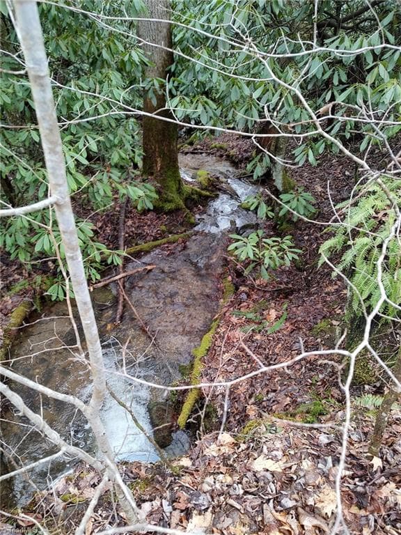 Unimproved Land at 1629 White Rock Road, Cullowhee NC 28723, Cullowhee, photo 21 of 27