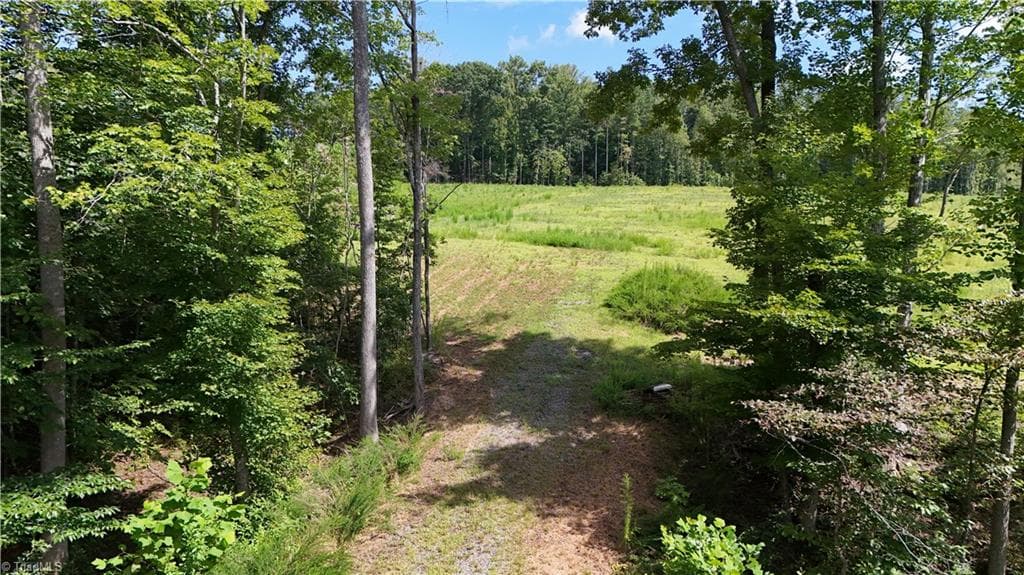 Agriculture at 00 Inman Road, Pilot Mountain NC 27041, photo 2 of 15