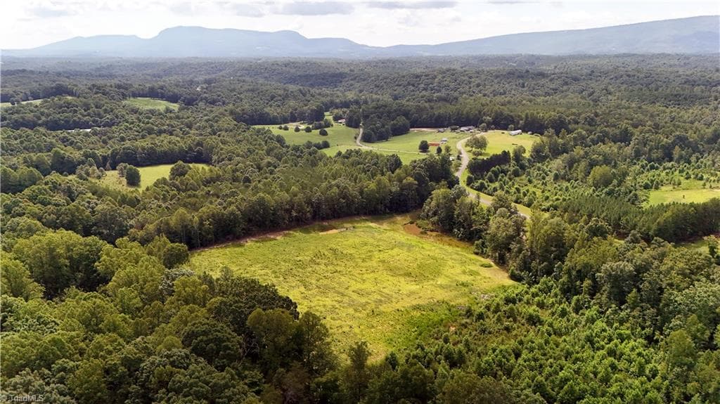 Agriculture at 00 Inman Road, Pilot Mountain NC 27041, photo 7 of 15