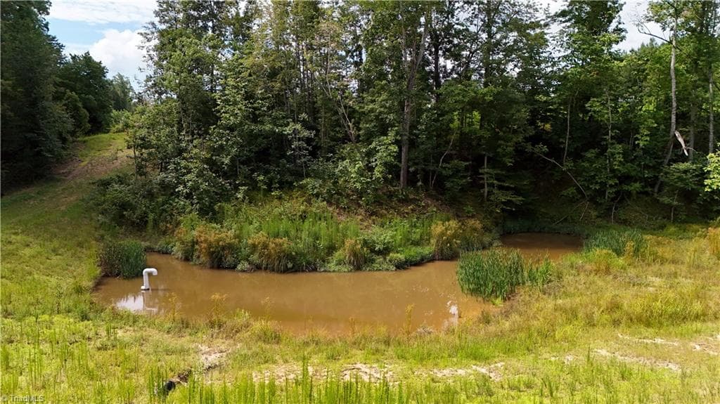 Agriculture at 00 Inman Road, Pilot Mountain NC 27041, photo 5 of 15