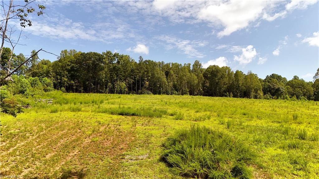 Agriculture at 00 Inman Road, Pilot Mountain NC 27041, photo 15 of 15