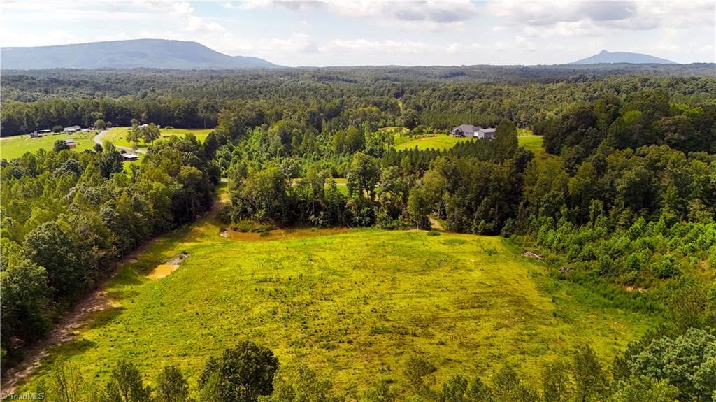 Agriculture at 00 Inman Road, Pilot Mountain NC 27041, photo 8 of 15