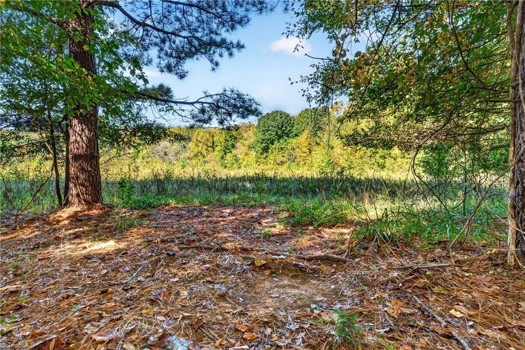 Single Family Residence at 2347 Clacie Lane, Liberty NC 27298, photo 6 of 50