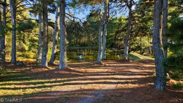 Stick/Site Built at 5352 Wilkes Yadkin Road, Ronda NC 28670, photo 42 of 50