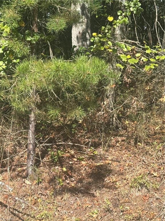 Lot 6 Saint Andrews Drive, North Wilkesboro NC 28659