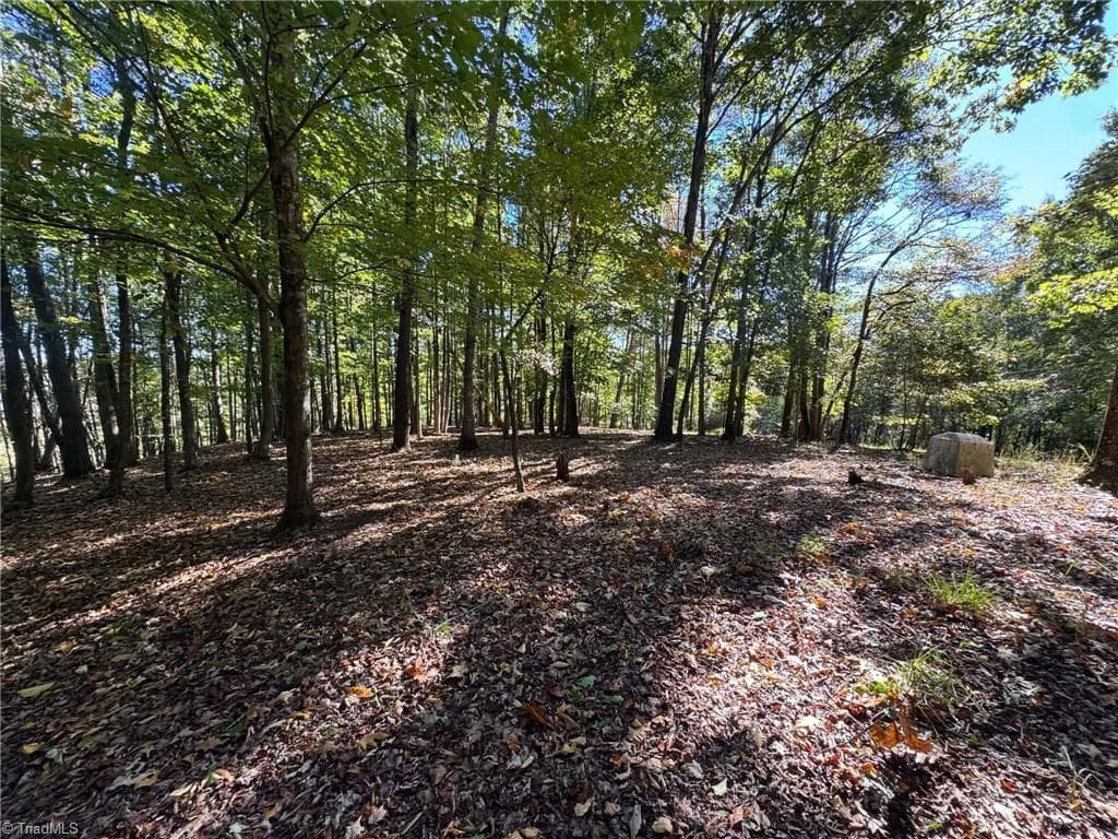 Single Family Residence at 15.43 ac Whisper Ridge Lane, Thurmond NC 28683, photo 42 of 45