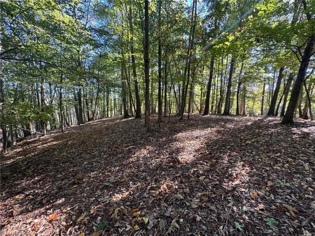 Single Family Residence at 15.43 ac Whisper Ridge Lane, Thurmond NC 28683, photo 43 of 45