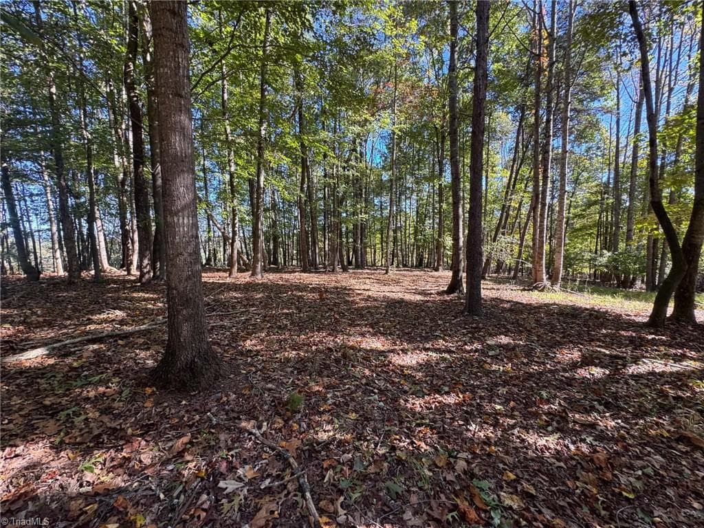Single Family Residence at 15.43 ac Whisper Ridge Lane, Thurmond NC 28683, photo 41 of 45