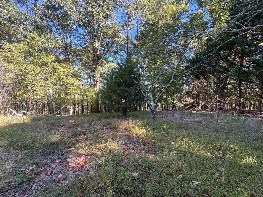 Single Family Residence at 15.43 ac Whisper Ridge Lane, Thurmond NC 28683, photo 37 of 45