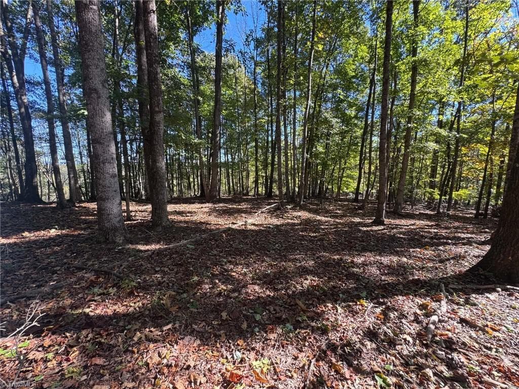 Single Family Residence at 15.43 ac Whisper Ridge Lane, Thurmond NC 28683, photo 40 of 45