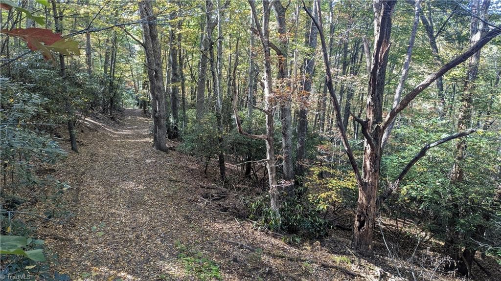 Unimproved Land at 000 NC Highway 16 S, Jefferson NC 28640, photo 23 of 25