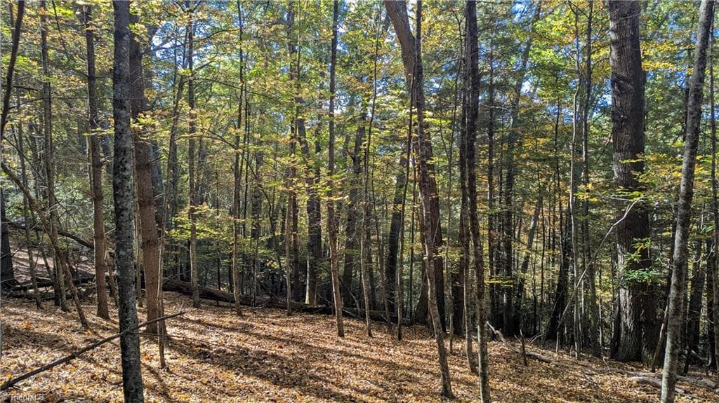 Unimproved Land at 000 NC Highway 16 S, Jefferson NC 28640, photo 22 of 25