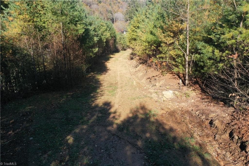 Unimproved Land at 000 NC Highway 16 S, Jefferson NC 28640, photo 9 of 25