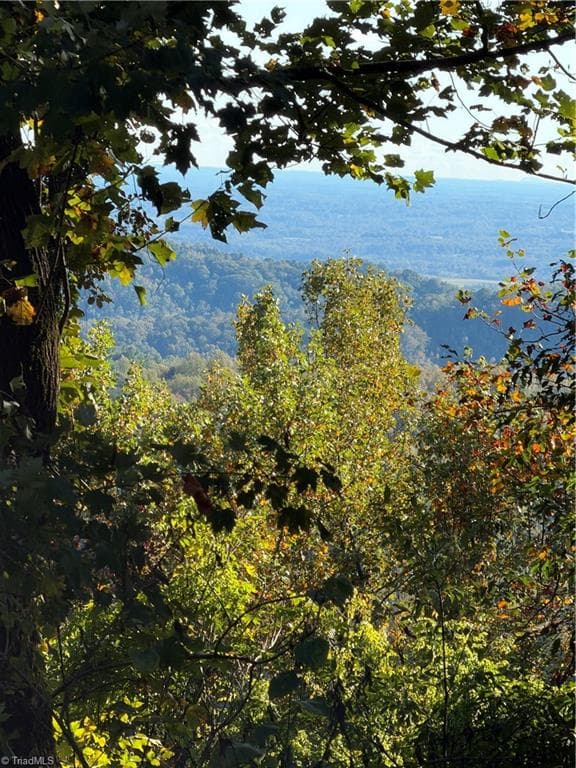 Unimproved Land at TBD Vannoy Ridge Road, Moravian Falls NC 28654, photo 2 of 46