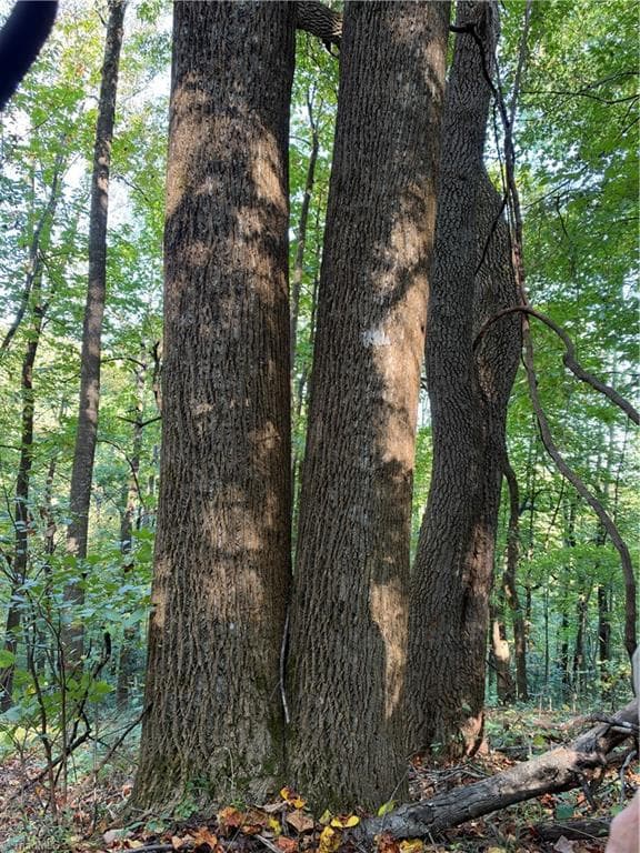 Unimproved Land at TBD Vannoy Ridge Road, Moravian Falls NC 28654, photo 42 of 46