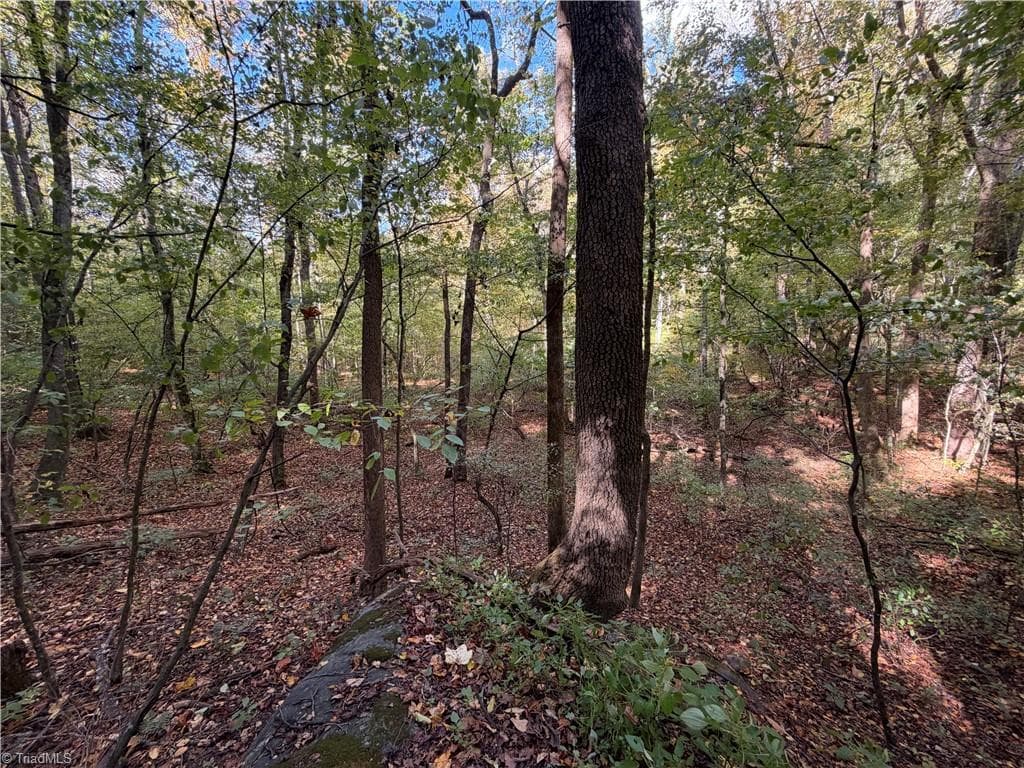 Unimproved Land at TBD Vannoy Ridge Road, Moravian Falls NC 28654, photo 16 of 46