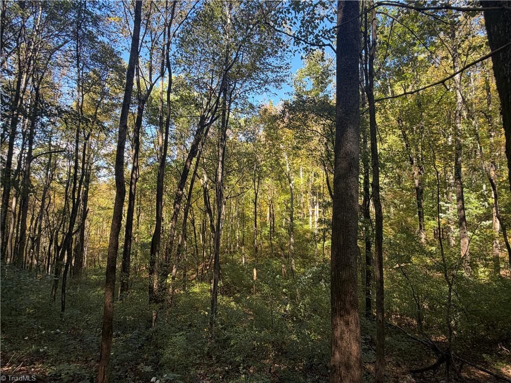 Unimproved Land at TBD Vannoy Ridge Road, Moravian Falls NC 28654, photo 34 of 46