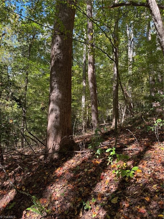 Unimproved Land at TBD Vannoy Ridge Road, Moravian Falls NC 28654, photo 10 of 46
