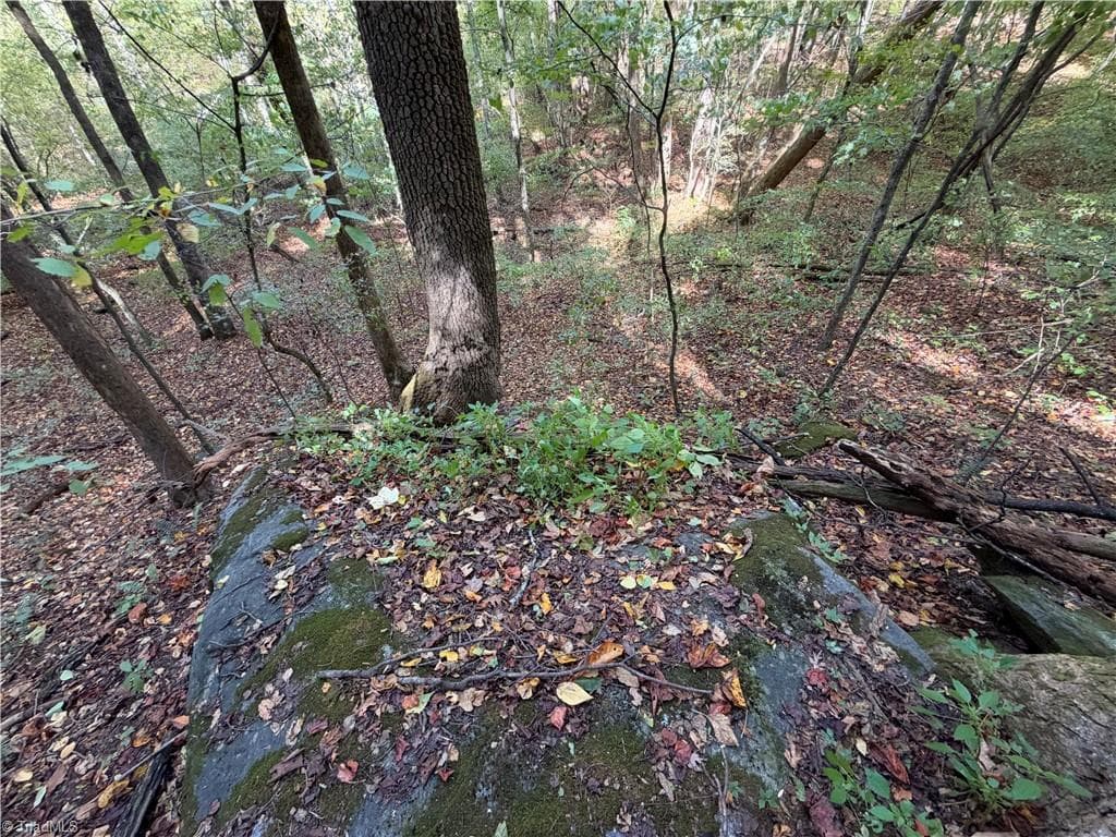 Unimproved Land at TBD Vannoy Ridge Road, Moravian Falls NC 28654, photo 18 of 46