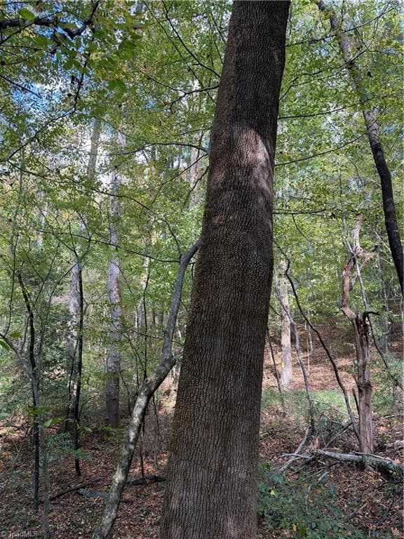 Unimproved Land at TBD Vannoy Ridge Road, Moravian Falls NC 28654, photo 11 of 46