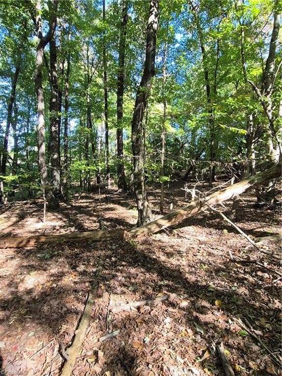 Unimproved Land at 1225 Perch Road, Pinnacle NC 27043, photo 7 of 10