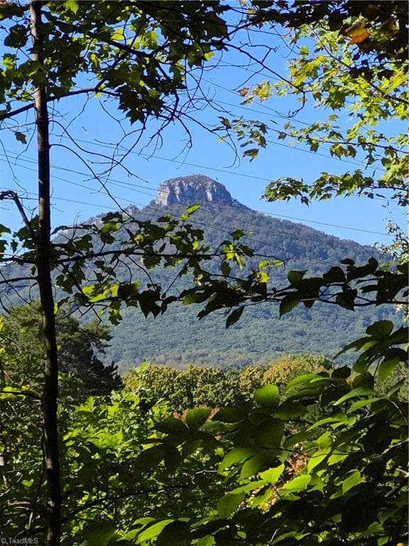 Unimproved Land at 1225 Perch Road, Pinnacle NC 27043, photo 4 of 10