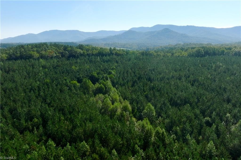Unimproved Land at 13 Morrison Road, Morganton NC 28655, photo 10 of 16