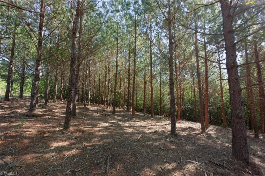 Unimproved Land at 14 Morrison Road, Morganton NC 28655, photo 6 of 18
