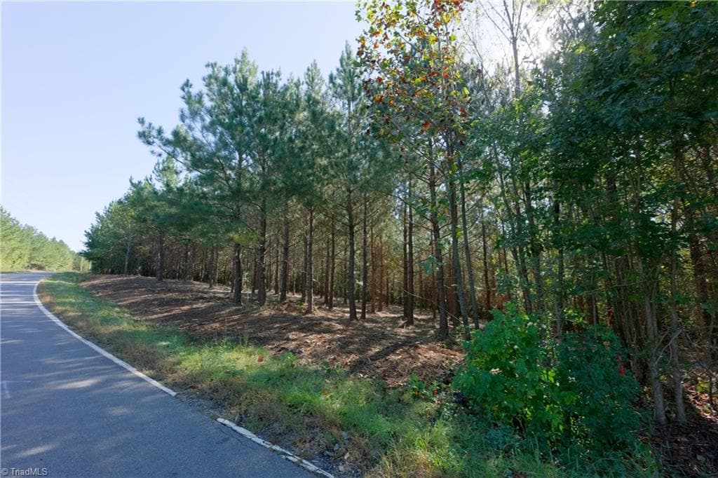 Unimproved Land at 14 Morrison Road, Morganton NC 28655, photo 8 of 18