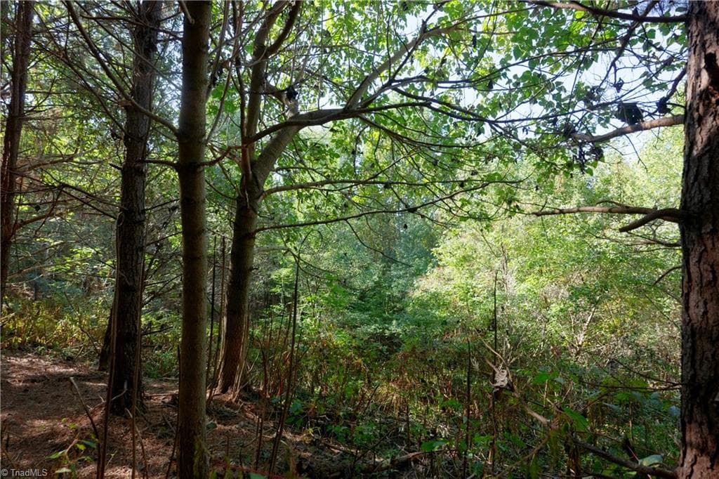 Unimproved Land at 15 Morrison Road, Morganton NC 28655, photo 4 of 16