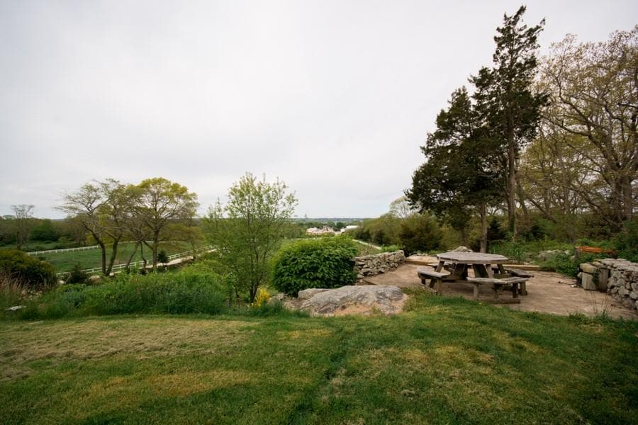 3622 Main Road photo 44