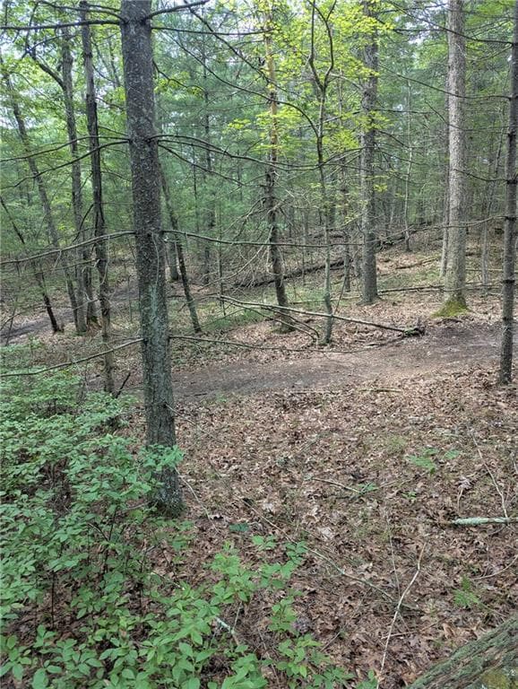 Unimproved Land at 0 (Rear) Douglas Pike, North Smithfield, photo 2 of 7