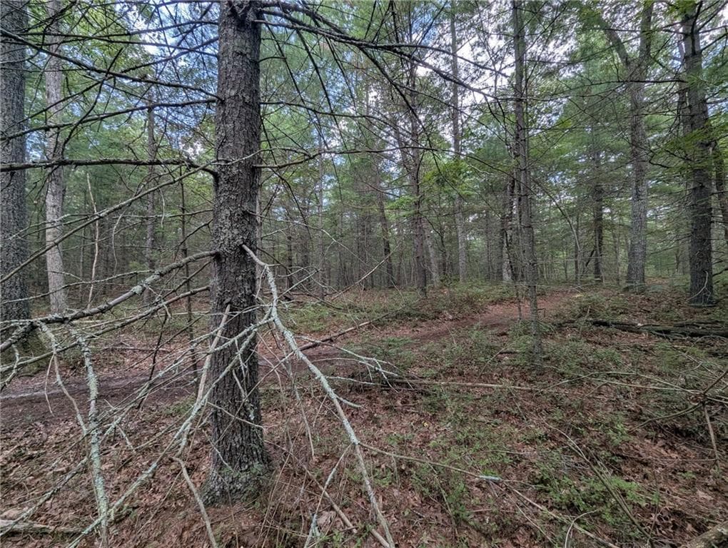 Unimproved Land at 0 (Rear) Douglas Pike, North Smithfield, photo 5 of 7