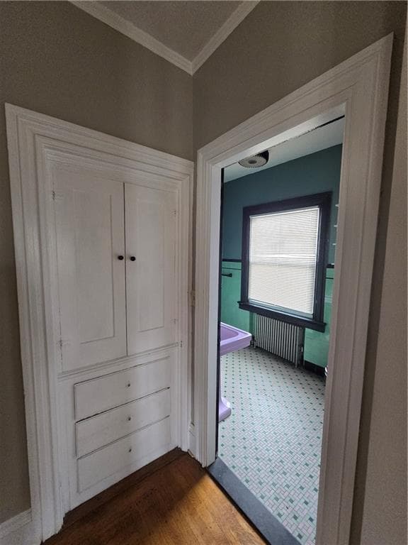 Multi Family at 217 Elmwood Avenue, Providence, photo 35 of 40