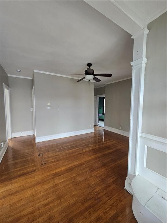 217 Elmwood Avenue photo 28